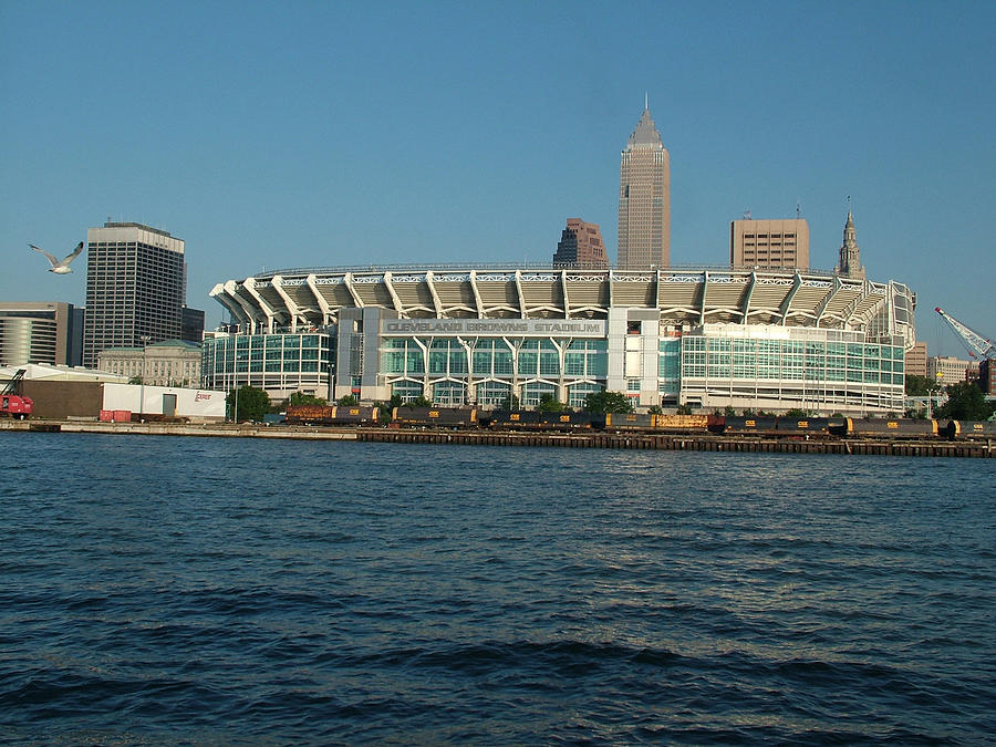 Cleveland Browns Stadium With Seagull Photograph by Liz Copic