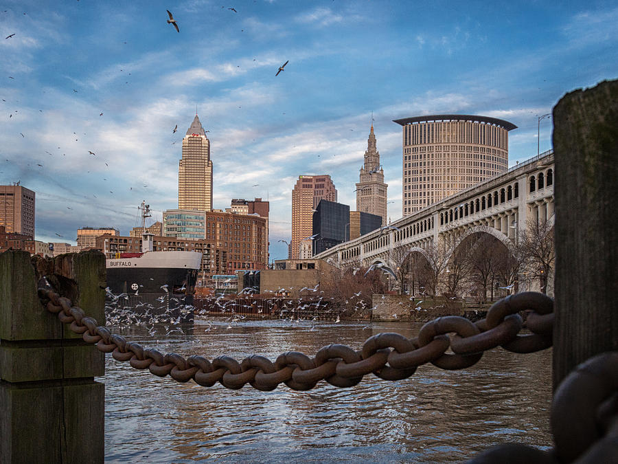 Cleveland Is for the Birds Photograph by Jared Perry 