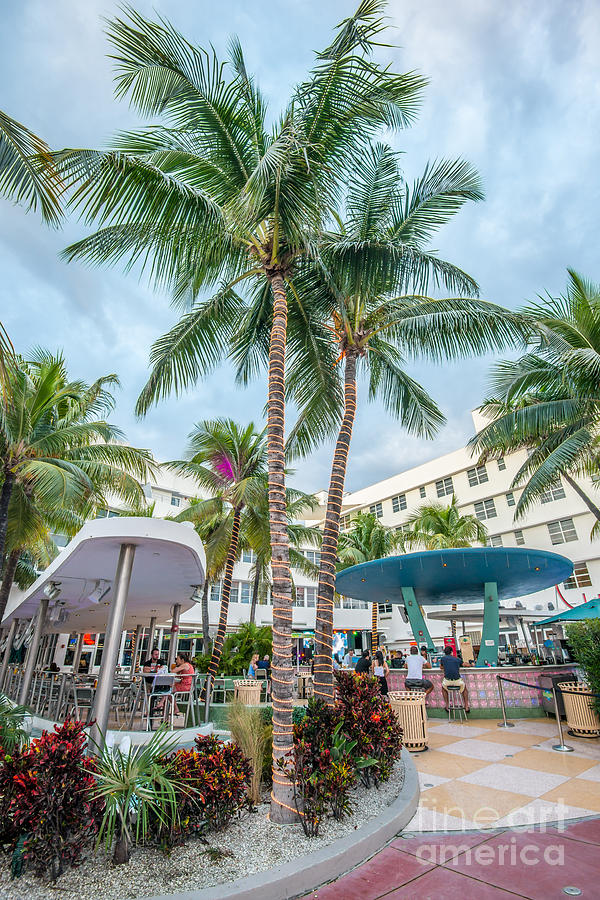 Miami Photograph - Clevelander Hotel Illuminated Palms SOBE Miami Florida by Ian Monk
