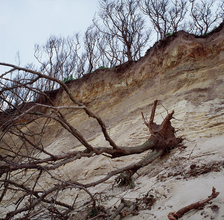 Cliff Erosion Photograph by Robert Brook/science Photo Library
