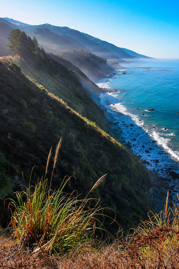 Cliff Grass at Big Sur Photograph by Adam Pender
