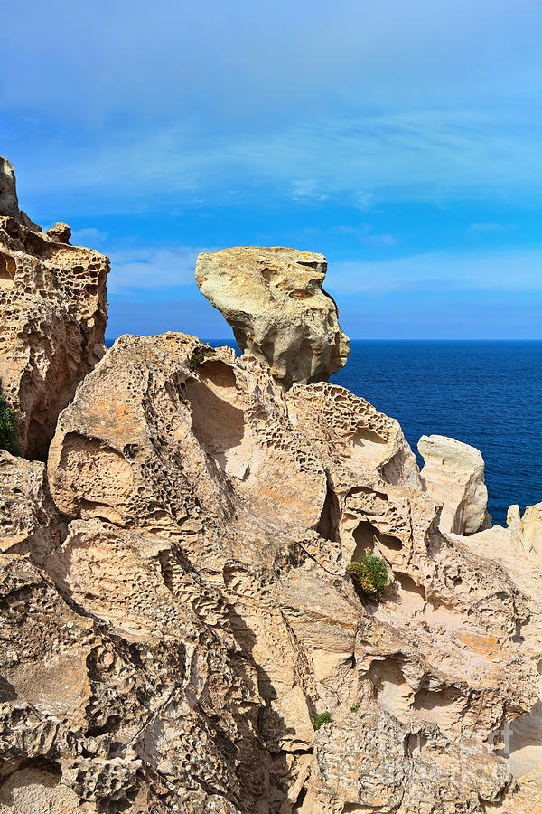 cliff in San Pietro island Photograph by Antonio Scarpi