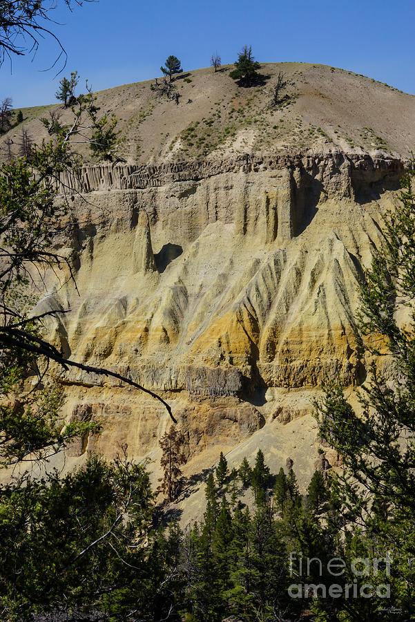 Cliff of Yellowstones Grand Canyon Photograph by Jennifer White
