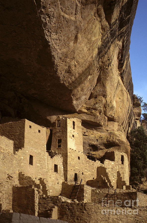 Cliff Palace Mesa Verde NP Photograph by Craig Lovell