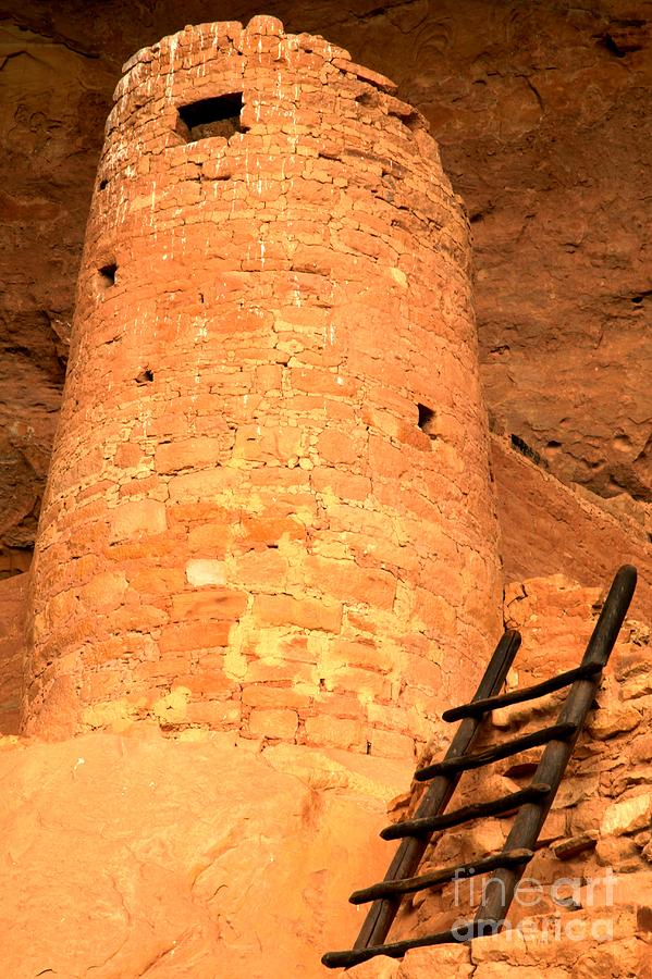 Cliff Palace Round Tower Photograph by Adam Jewell