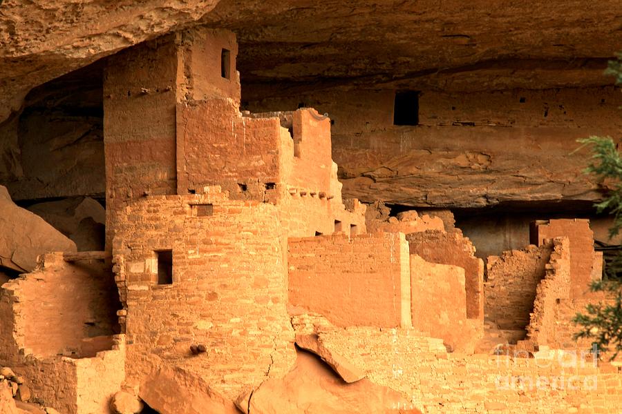 Mesa Verde National Park Photograph - Cliff Palace Tower by Adam Jewell