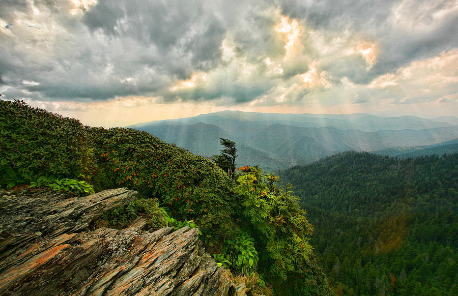 Mountain Photograph - Cliff Tops at Mt. LeConte GSMNP by Shari Jardina
