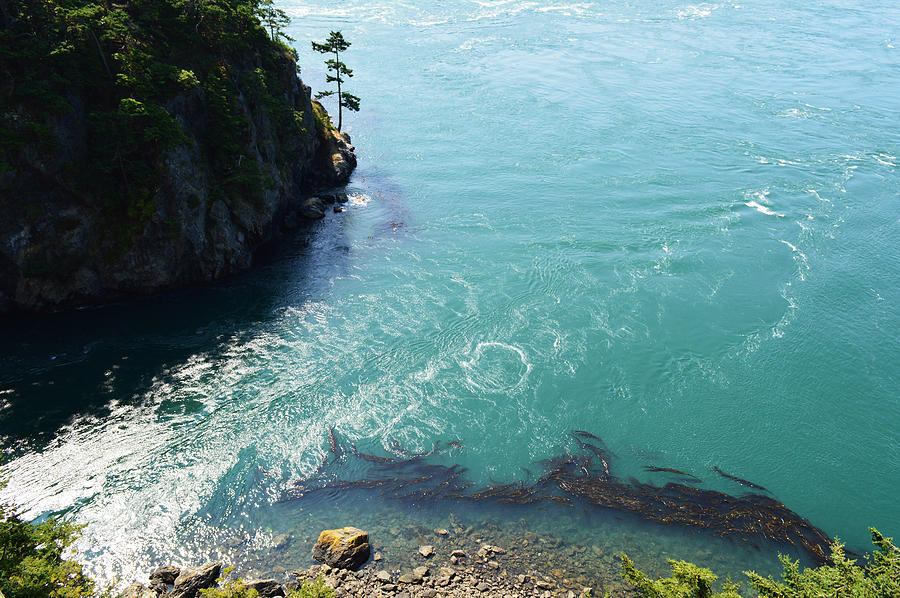 Cliffhanger Photograph by Tarik Zukic - Fine Art America