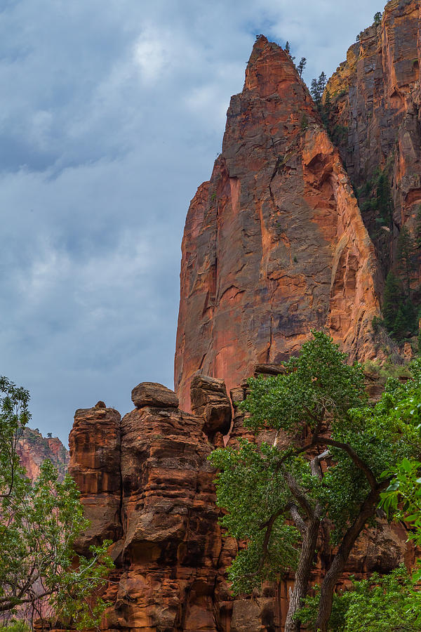 Cliffs at Zion National Park Photograph by Levin Rodriguez