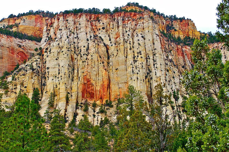 Cliffs near Checkerboard Mesa along Zion-Mount Carmel Highway in Zion National Park-Utah Photograph by Ruth Hager