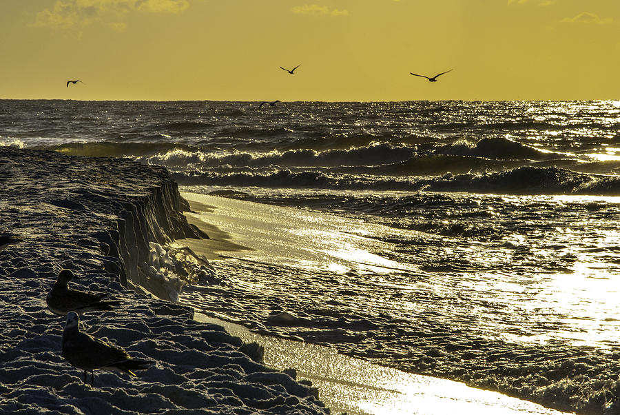 Cliffs of Gulf Shores Digital Art by Michael Thomas