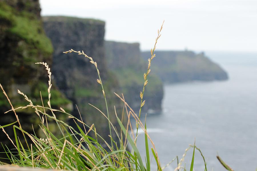 Cliffs of Moher Photograph by Carrie Todd