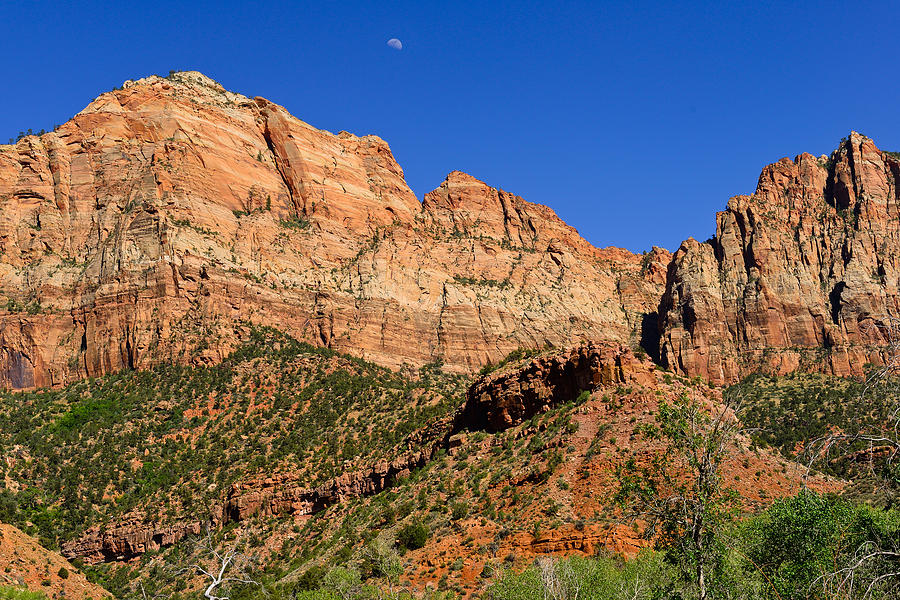 Zion National Park Photograph - Cliffs of Zion by Greg Norrell