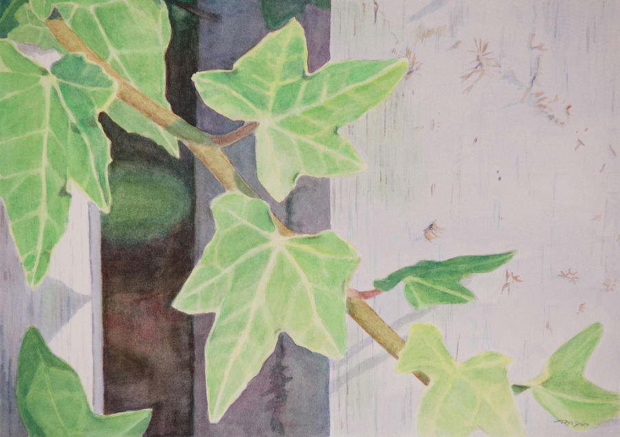 Still Life Painting - Climbing Ivy by Christopher Reid