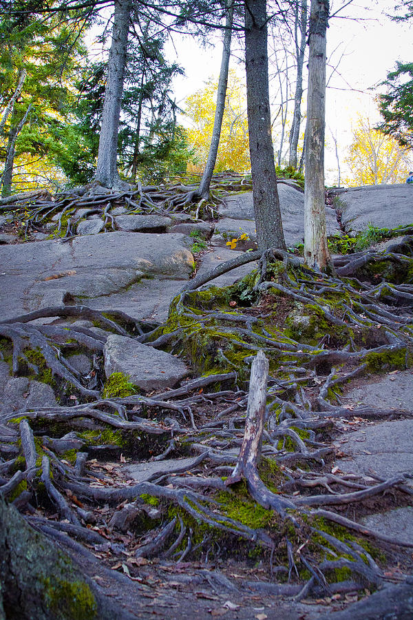 Climbing the Rocks of Bald Mountain Photograph by David Patterson