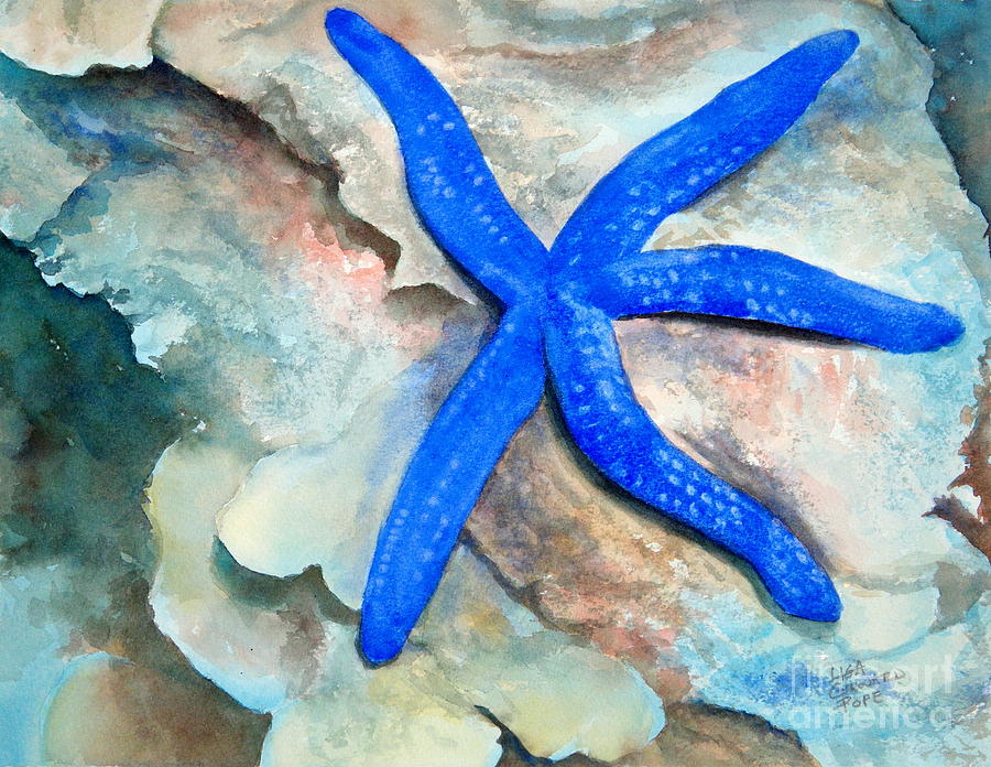 Clinging to the Reef Painting by Lisa Pope