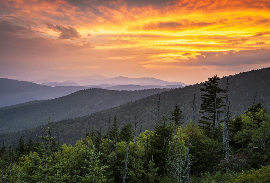 Clingmans Dome Great Smoky Mountains - Purple Mountains Majesty by Dave ...