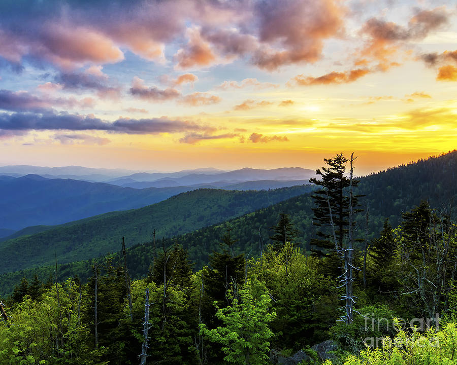 Clingmans Dome sunset Photograph by Anthony Heflin