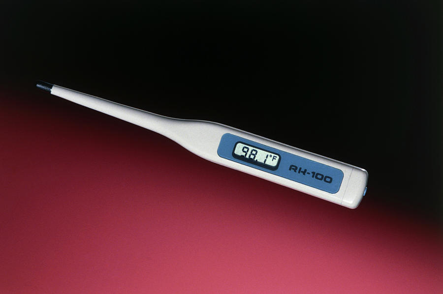Still Life Photograph - Clinical Thermometer With Digital Display by Damien Lovegrove/science Photo Library