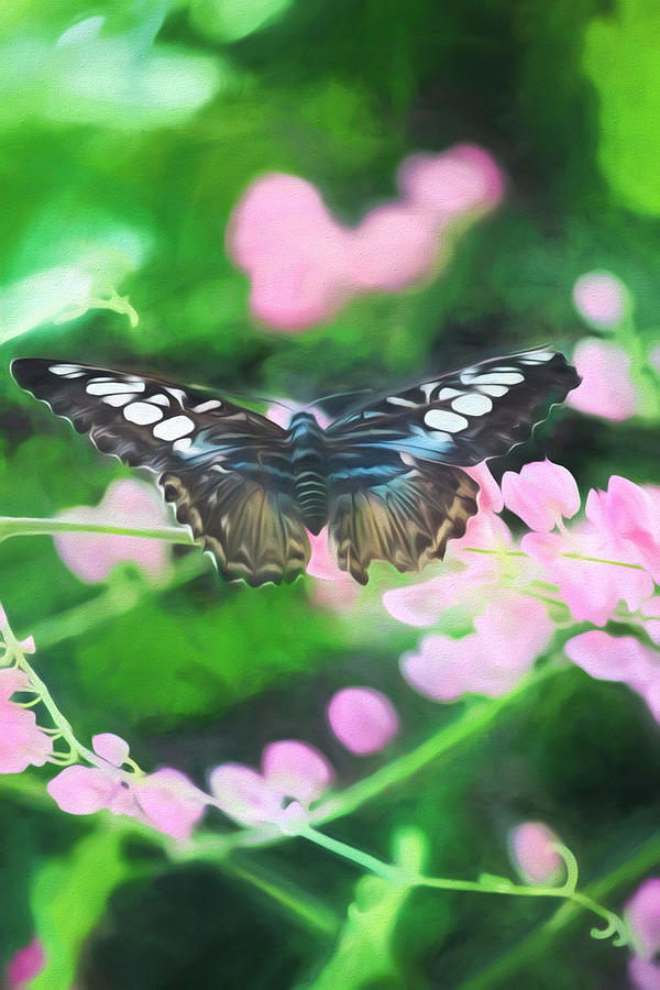Butterfly Photograph - Clipper Butterfly 2 - Painting by Becca Buecher