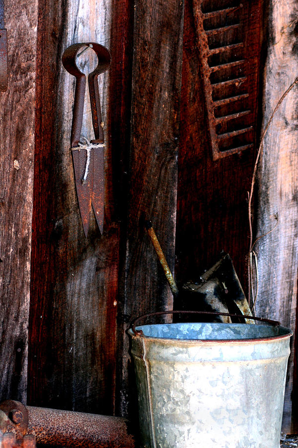 Clippers and The Bucket Photograph by Lesa Fine