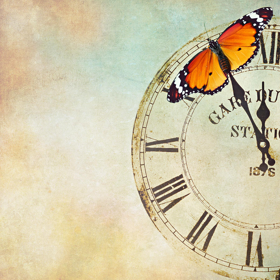 Butterfly Photograph - Clock Five To Twelve by Heike Hultsch