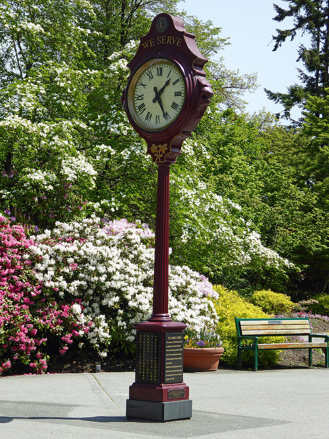 Clock in Park Photograph by Laurie Tsemak