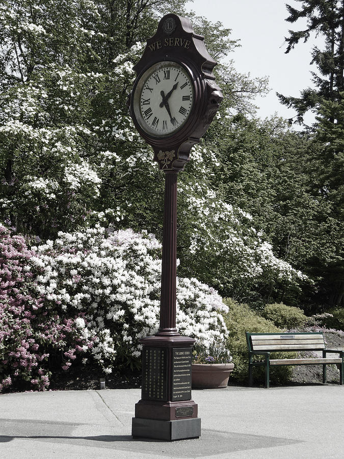 Clock in Park Muted Photograph by Laurie Tsemak