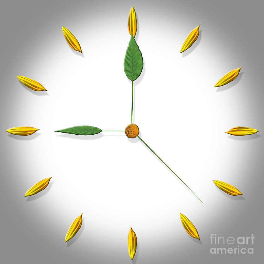 Clock Made Of Flower Parts Photograph by Mike Agliolo
