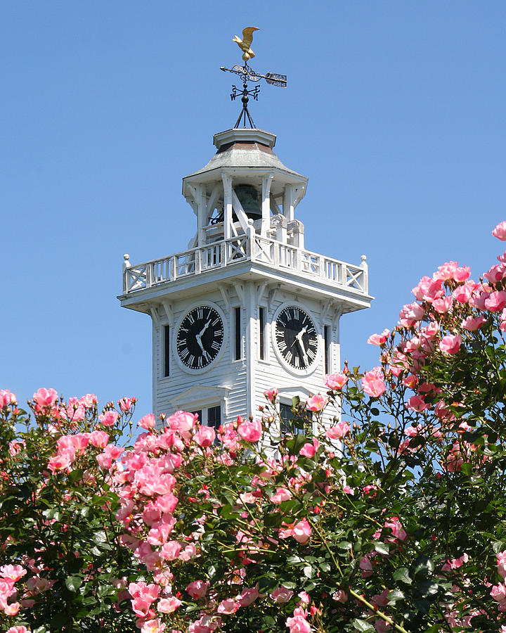 Clock Tower and Roses Photograph by William Selander