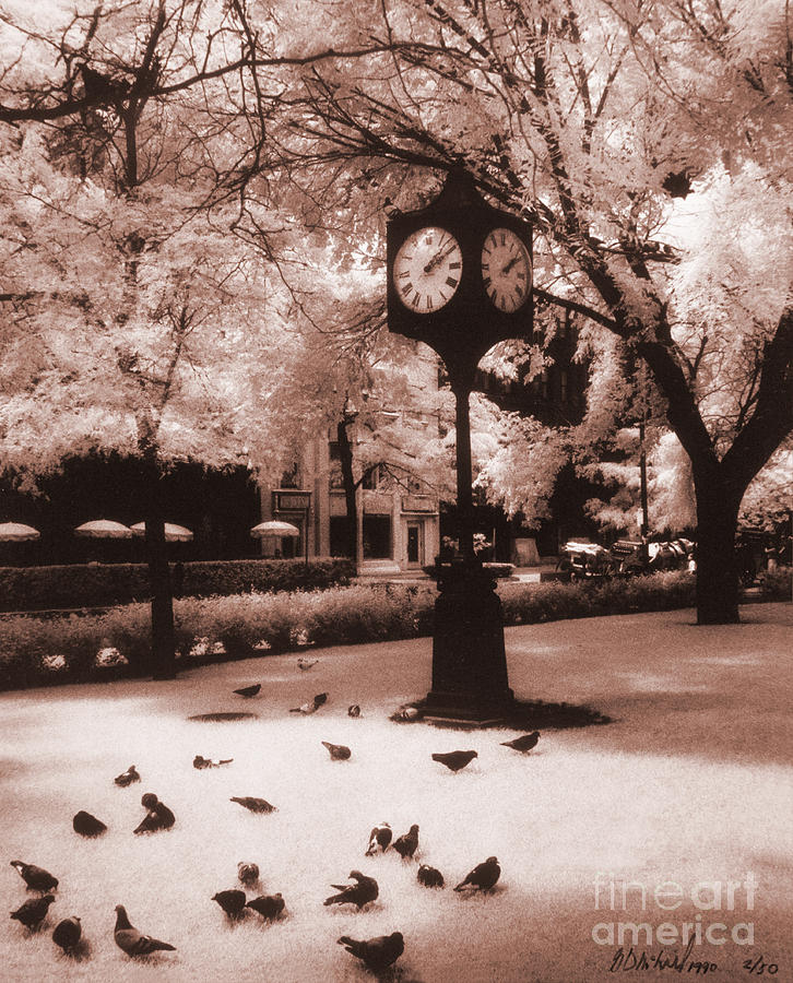 Clock Tower Park Chicago 1990 Photograph by Garry McMichael
