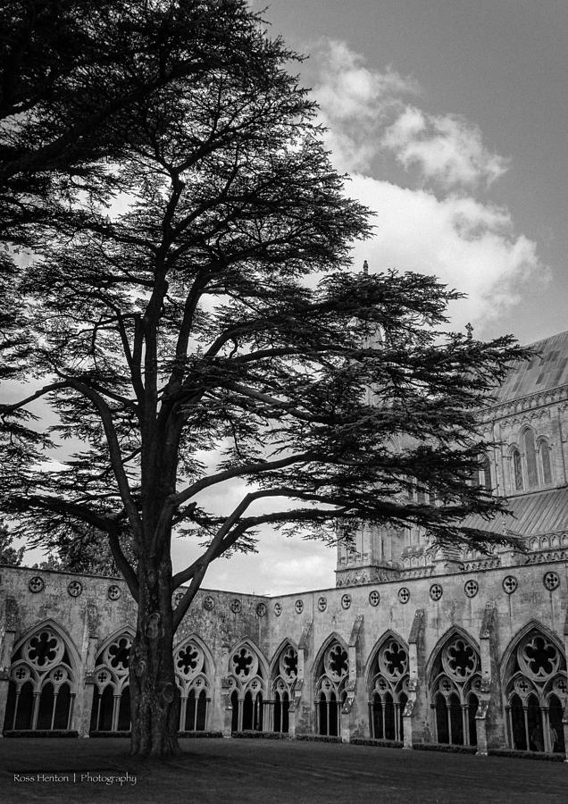 Cloisters at Salisbury Photograph by Ross Henton