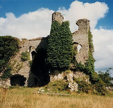 Clonmore Castle Carlow Photograph by Val Byrne