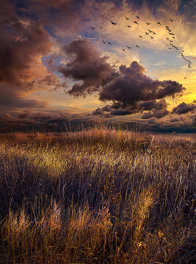 Landscape Photograph - Close Behind by Phil Koch