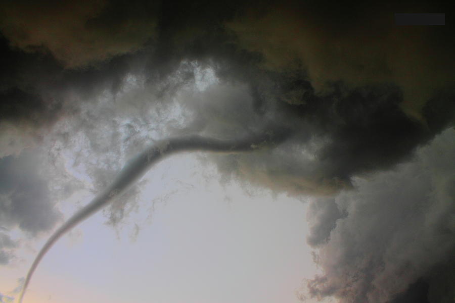 Close Enough Photograph by Nzp Chasers Close Enough Photograph by Nzp Chasers
