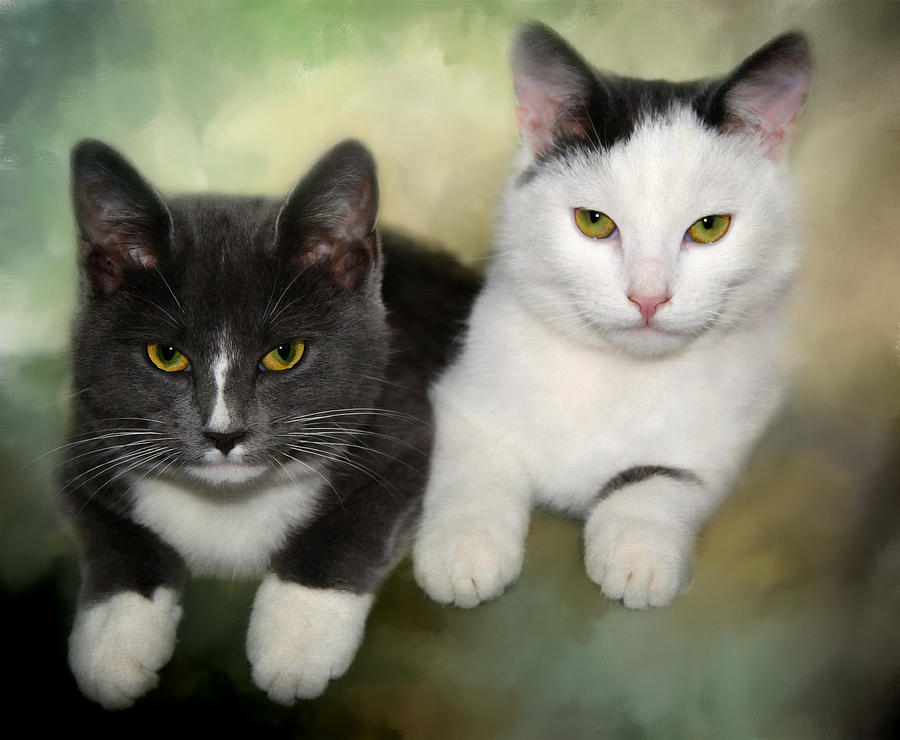 Close Friends by Annie Snel Close Friends by Annie Snel