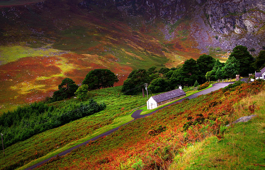 Close to the Nature. Wicklow. Ireland Photograph by Jenny Rainbow