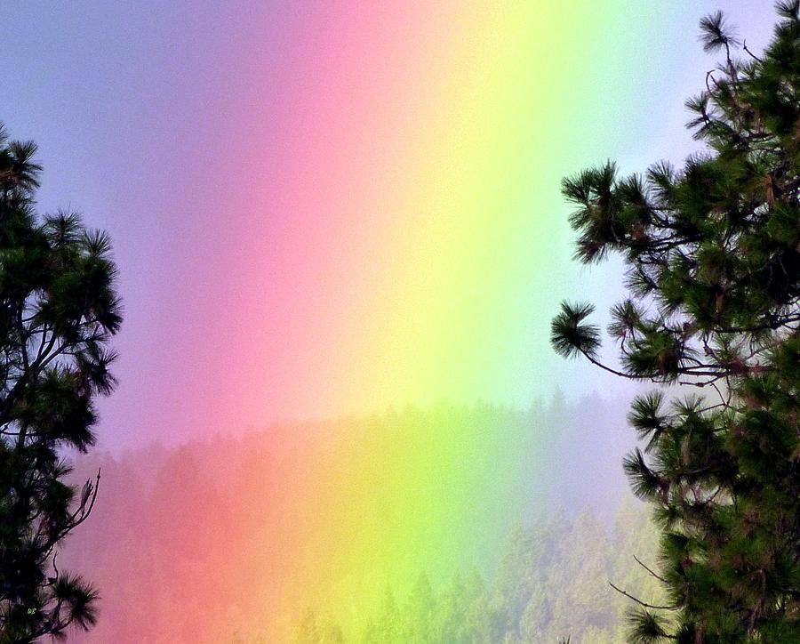 Close To The Pot Of Gold Photograph by Will Borden