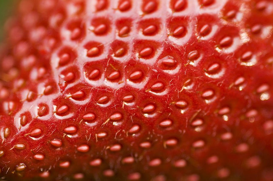 Close-up of a fresh strawberry surface Photograph by Digihelion