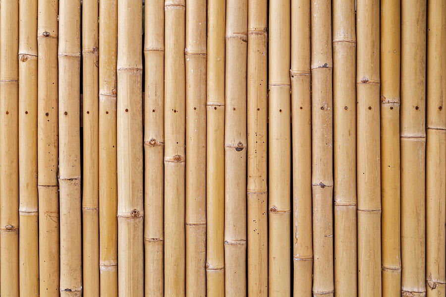 Close-up of a natural bamboo wall background with warm tones Photograph by Tuomas Lehtinen