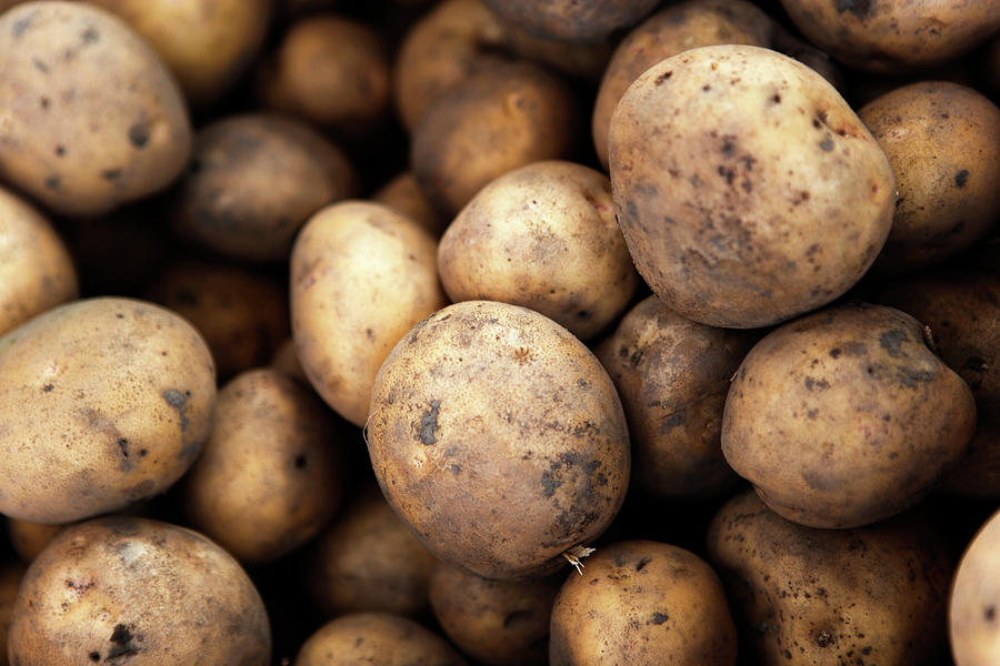 Close Up Photograph - Close Up Of A Stack Of New Potatoes by Ron Koeberer