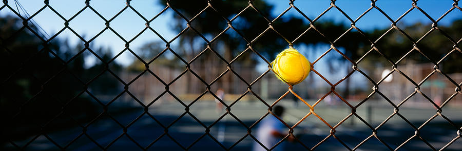 San Francisco Photograph - Close-up Of A Tennis Ball Stuck by Panoramic Images