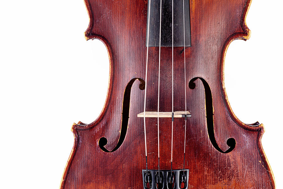 Close up of a violine Photograph by Chevy Fleet