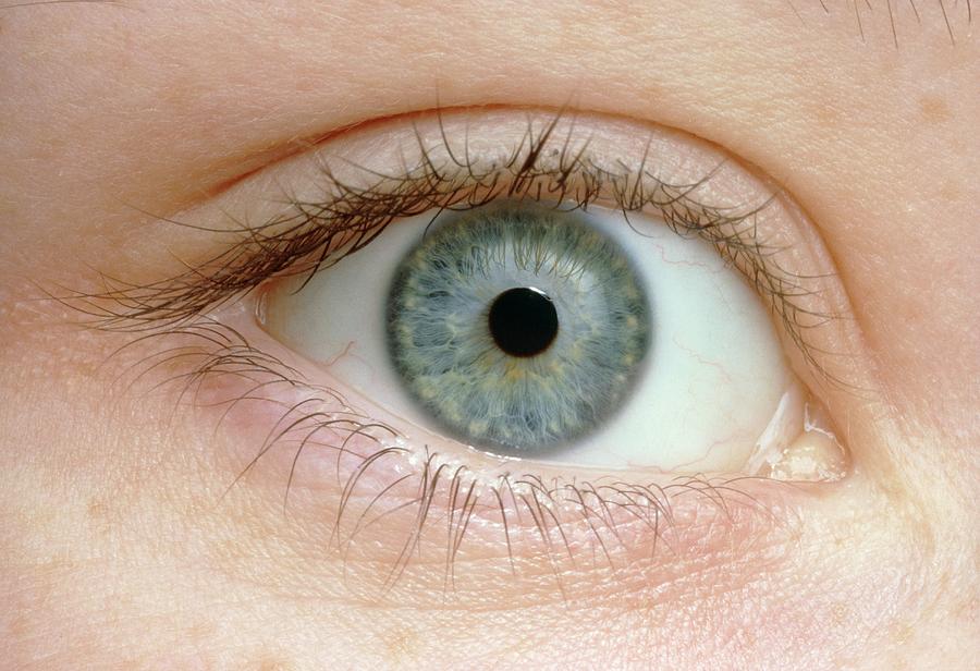 Close Up Of A Young Womans Eye Photograph By Martin Dohrn Science