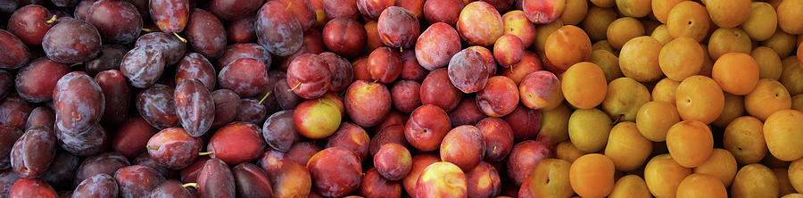 Close-up Of Assorted Plums For Sale Photograph by Panoramic Images