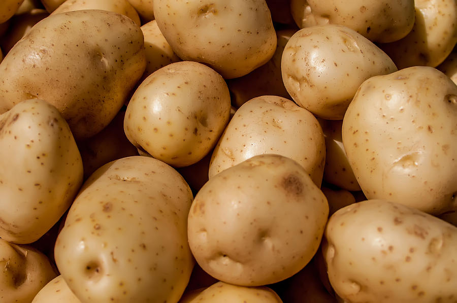 Close Up Of Big White Potatoes On Market Stand Photograph by Alex Grichenko