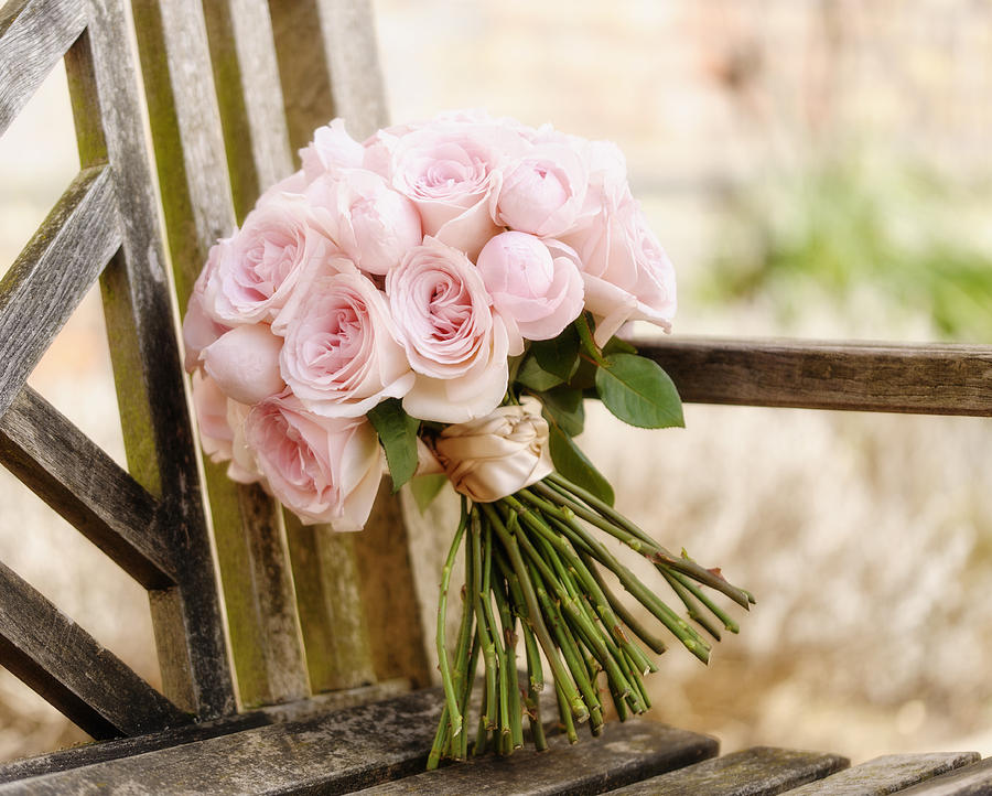 Close up of bouquet of roses on wooden bench Photograph by Jacobs Stock Photography Ltd