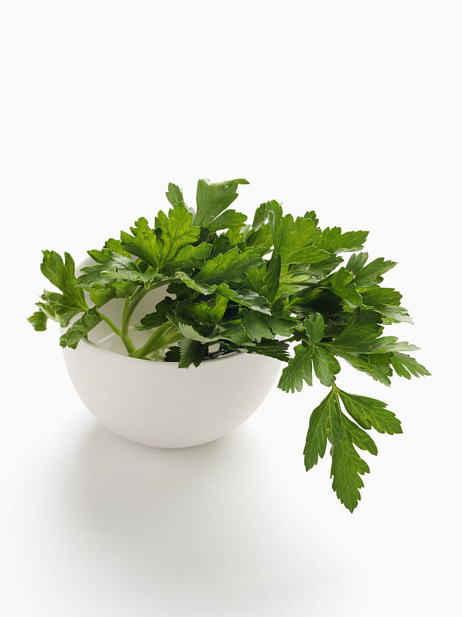 Close up of bowl of parsley Photograph by Brett Stevens