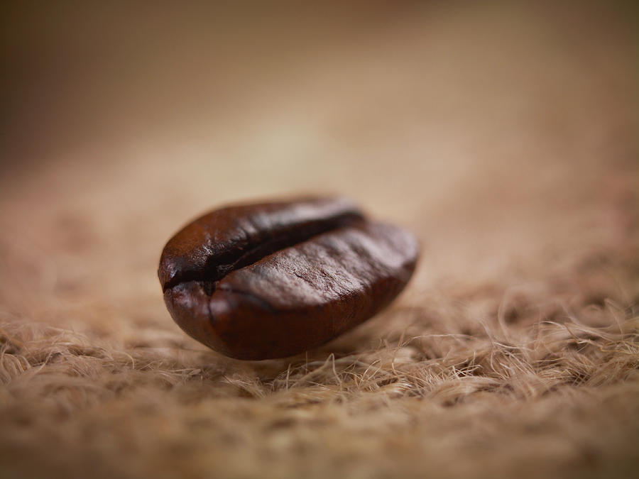 Close Up Of Coffee Bean Photograph by Adam Gault