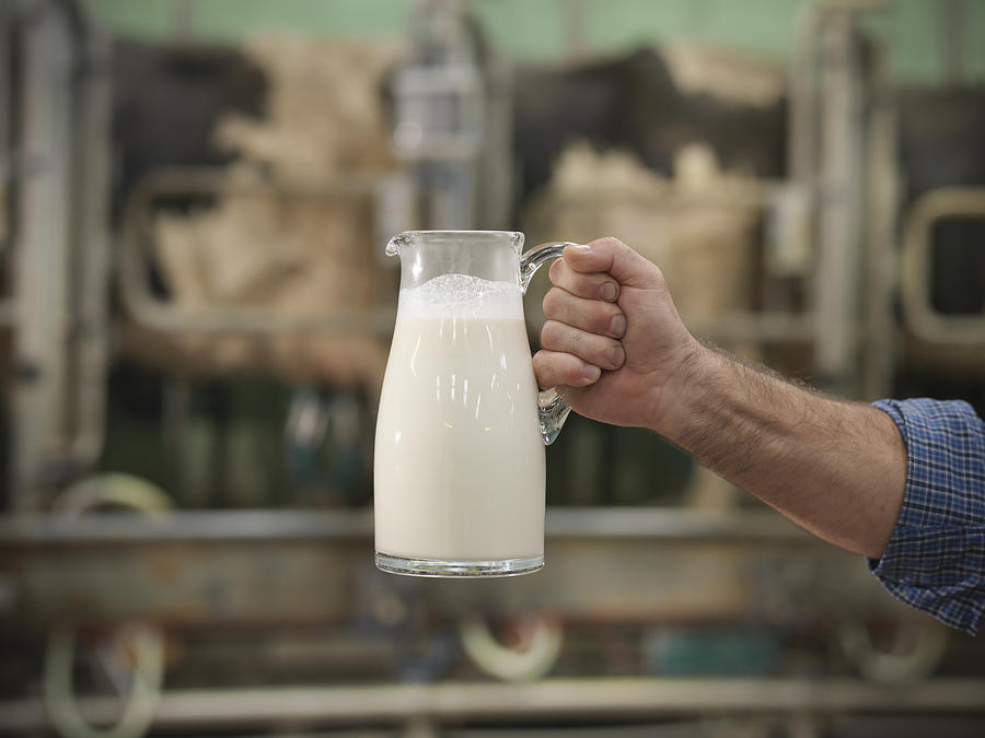 Close up of farmer holding jug of milk in rotary milking parlour on dairy farm Photograph by Monty Rakusen